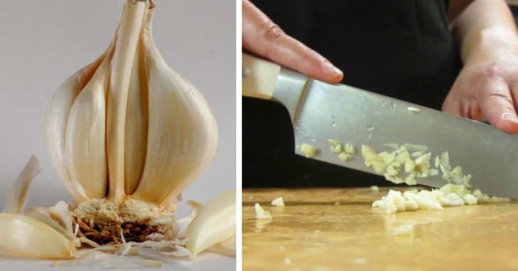 The properties of garlic: