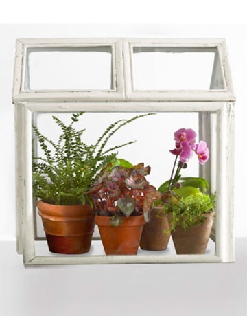 9. Vous avez envie de faire pousser des herbes aromatiques en hiver ou de profiter de quelques plantes tropicales chez vous ? Construisez une mini-serre avec des cadres en verre !