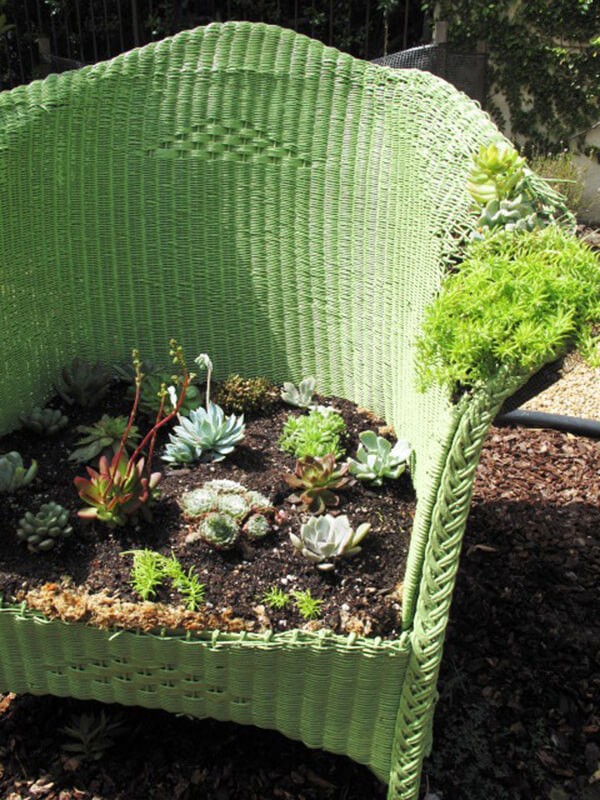 5. Même les vieux fauteuils tissés peuvent accueillir des plantes