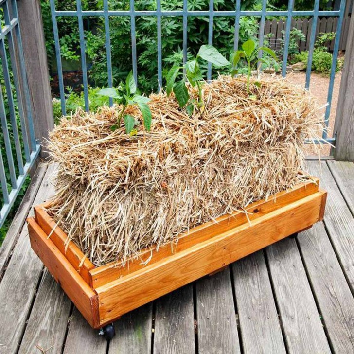 2. Una simpatica idea rustica: un box di legno che ospita una balla di fieno. È dentro a quest'ultima che si possono coltivare piante!
