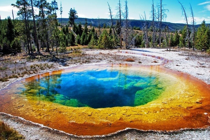 Gehen Sie nicht in die Nähe dieser Wasserpfütze im Yellowstone Park... Sie könnten reingesaugt werden!
