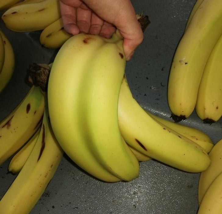 Zwei Bananen zum Preis von einer!