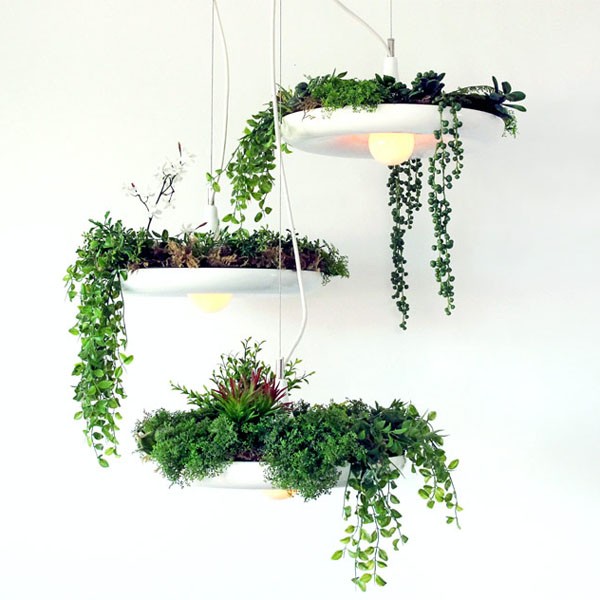 3. Lampadari adatti proprio ad essere decorati con piante