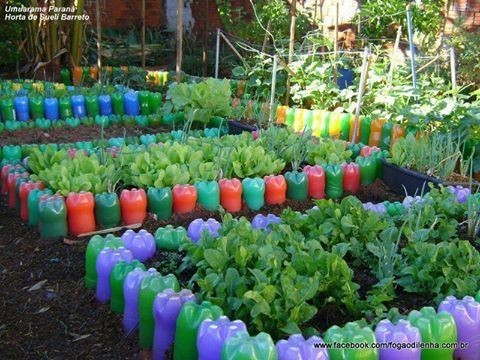 4. Wenn Sie klassische Formen lieben, können Sie einfach Plastikflaschen verwenden, um rechteckige Beete zu entwerfen, in denen Sie Ihr Gemüse anbauen können.