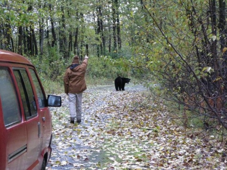 4. Een goede vader laat zich zelfs niet door een beer intimideren… hij weet altijd wat hij moet doen, zelfs in deze gevallen!