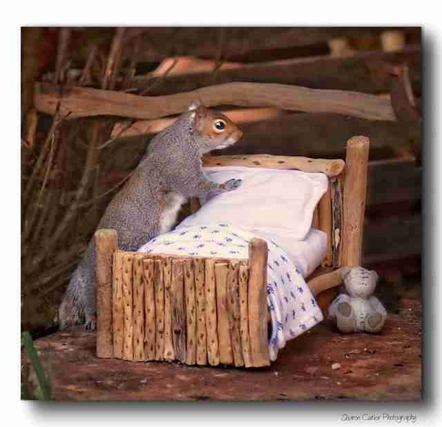 Après une très longue journée de "travail" au milieu des arbres et de la nature, Cyril s'est approché du lit et a commencé à border les draps...