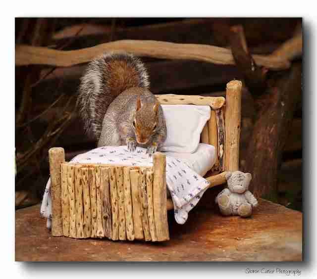 Et l'idée géniale du lit pour écureuil a évidemment aussi été appréciée par Sharon et sa fille !
