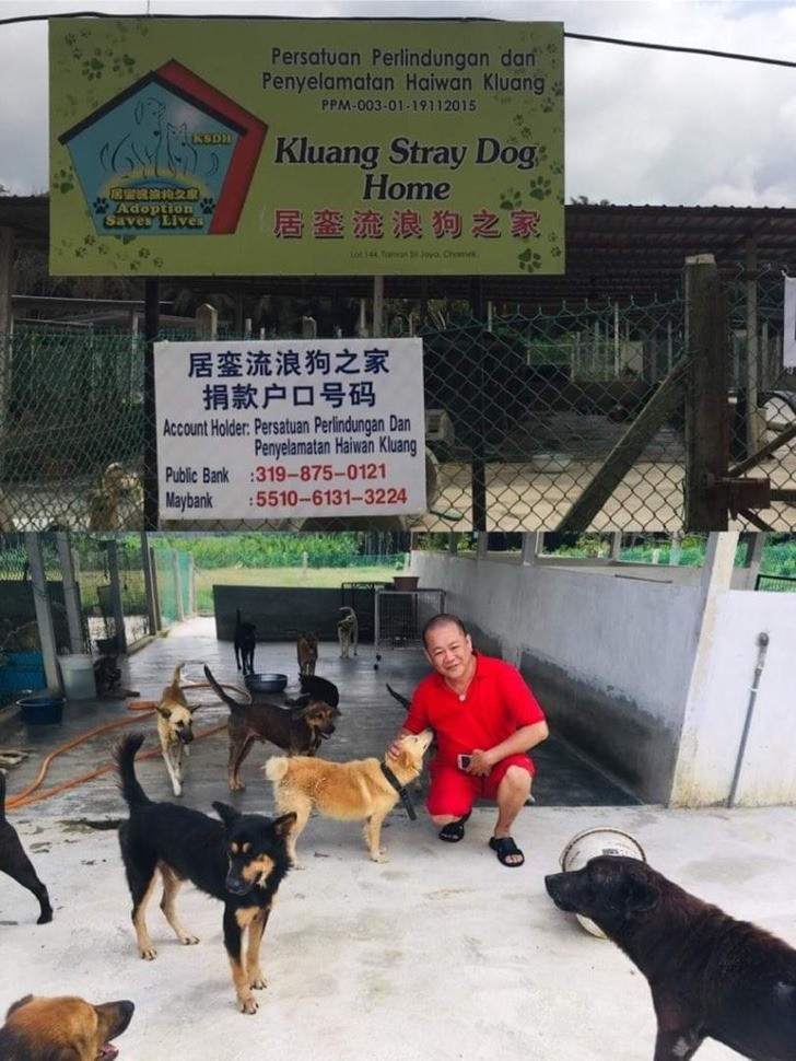 Kluang Johor Stray Dog Home/Facebook