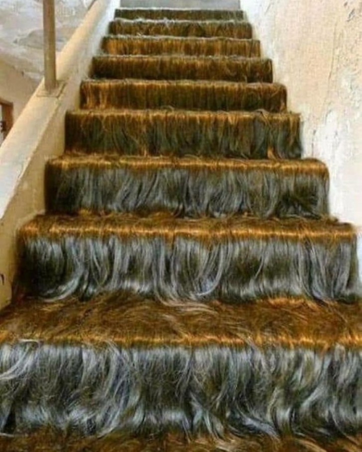 Un peu trop de cheveux sur les escaliers, vous ne trouvez pas ?