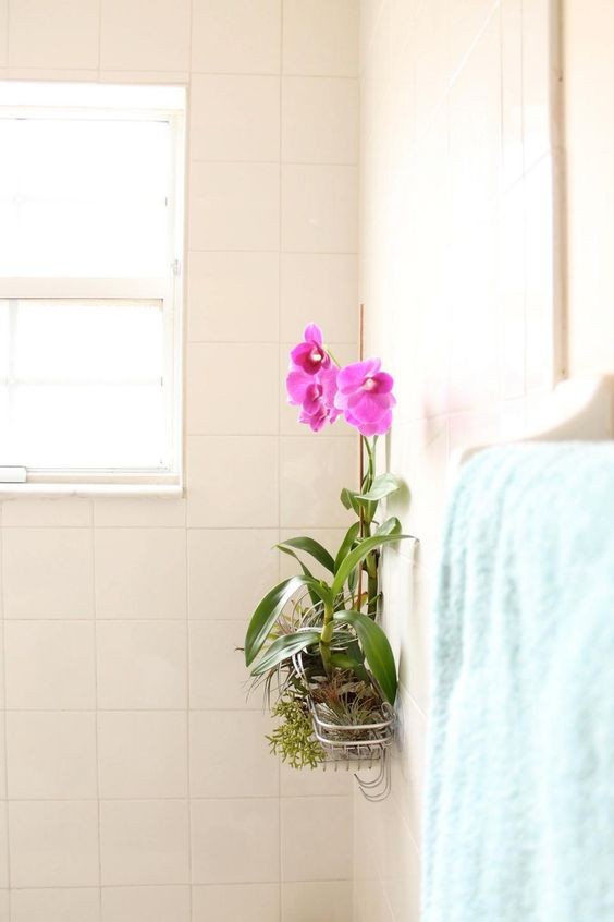 14. Anche orchidee, felci o begonie delicate trovano un habitat ideale in bagno e un'idea comoda per sistemarle è nei ripiani destinati ai bagnoschiumi come questo