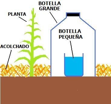 La Huerta de Iván/YouTube