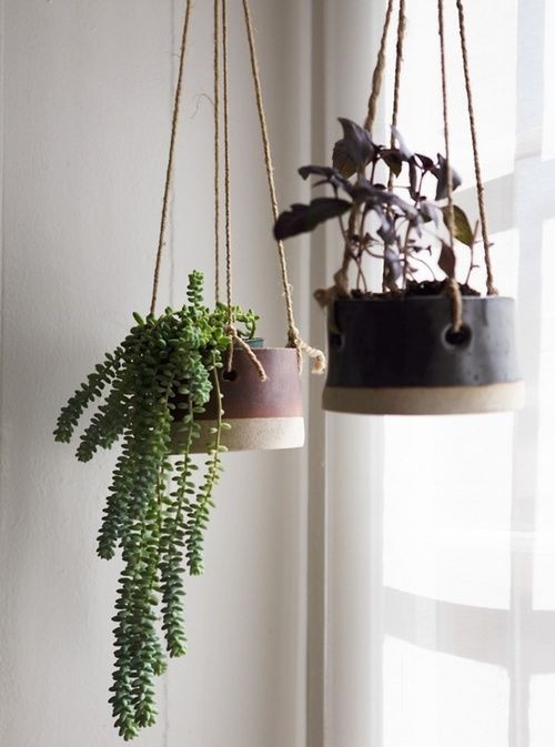 Für Liebhaber des minimalistischen Stils: eine einfache Kordel genügt, um die Vasen aufzuhängen.