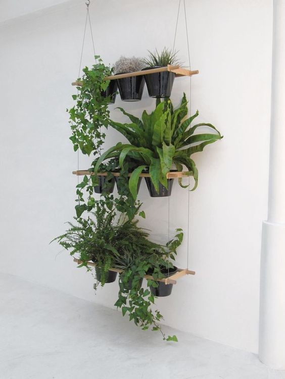 Sie können hängende Regale erstellen, um die Pflanzen in einer Ecke zu gruppieren.