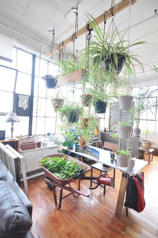 Une pièce lumineuse est l'endroit idéal pour accueillir vos plantes.