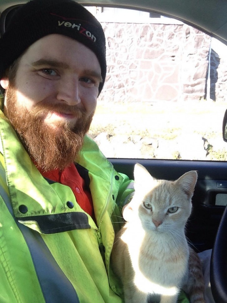 11. "Ce gentil chat s'est glissé dans ma camionnette de travail et a passé la journée avec moi... c'était la meilleure journée de travail depuis longtemps"