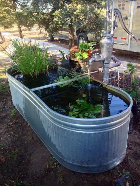 3. Per un giardino acquatico fuori terra potete usare le vasche di zinco, come gli abbeveratoi per animali