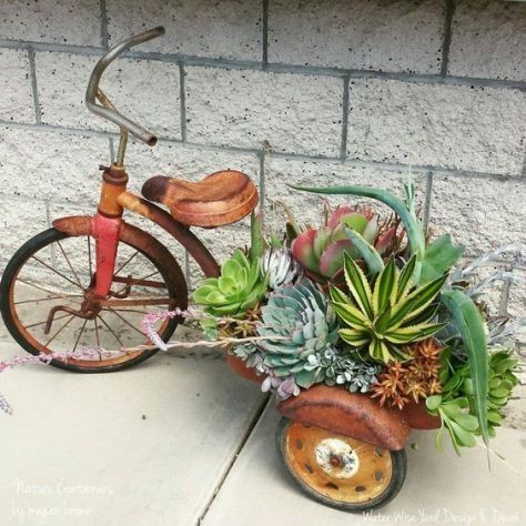 13. Les tricycles et les vieux vélos cassés sont souvent utilisés comme jardinières