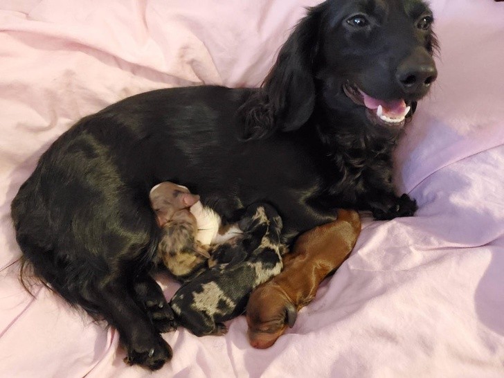 1. ¡Aquí la cara de una madre muy orgullosa!