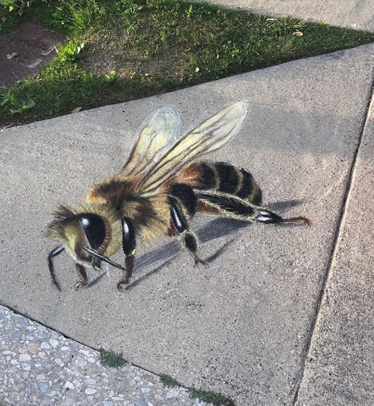 Jan Riggins e sua figlia Olive hanno portato in vita veramente tutto sul vialetto vicino casa: da animali come gigantesche api...