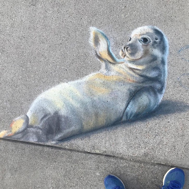 Che simpatico il disegno di questa foca!