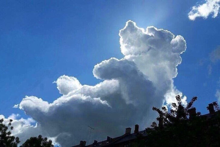 1. Mit den Augen eines Kindes gesehen, könnte dieser Bär aus Wolken sehr wohl Winnie the Pooh oder Balu aus "Das Dschungelbuch" sein!