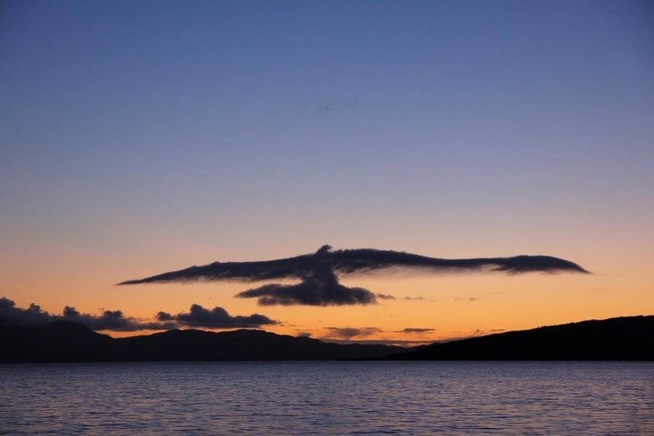 8. Un aigle géant survole une mer calme au coucher du soleil...