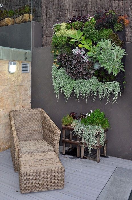 7. I "quadri verdi" fatti di piante tappezzanti,muschi, felci o piante succulente sono sempre più di moda