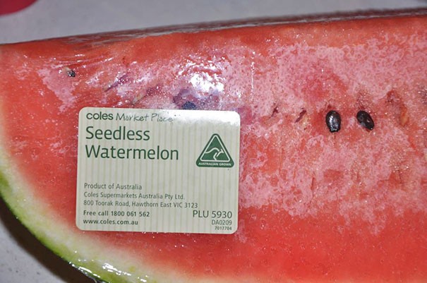 11. Eine sehr frische Wassermelone "kernlos", aber mit Kernen...