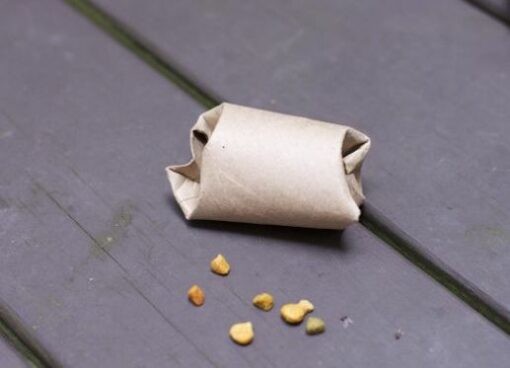 2. Riempite un rotolo di cartone della carta igienica con cibo chiudetelo, il gatto dovrà capire come estrarre i premi
