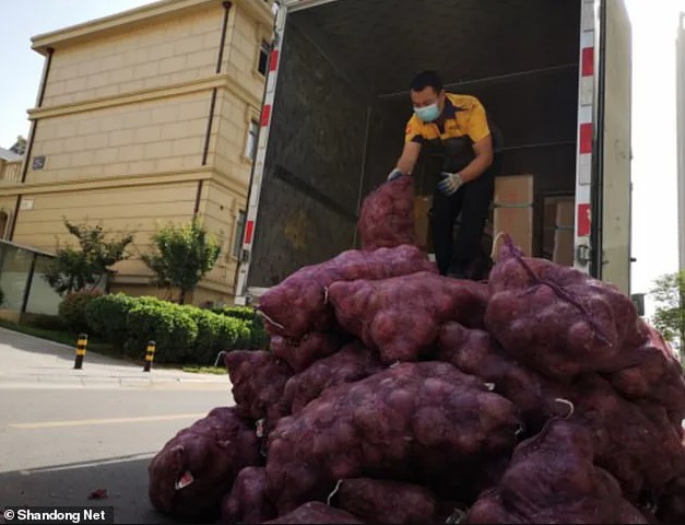 Spedisce 1.000 Kg di cipolle al suo ex-fidanzato per punizione: "ho pianto per 3 giorni, ora tocca a te" - 3