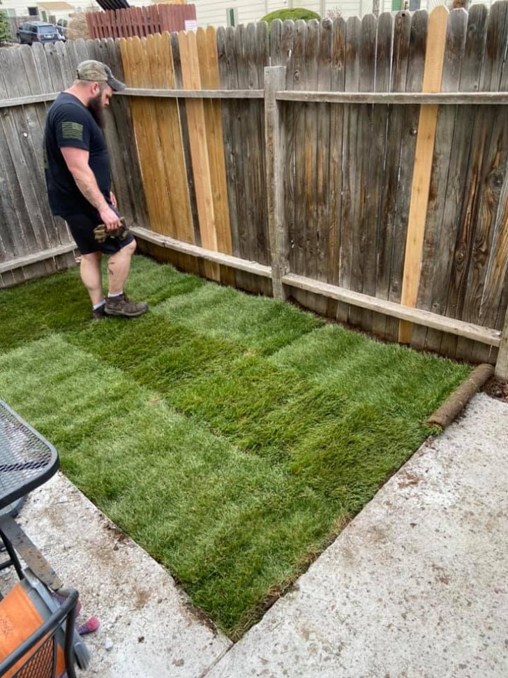 After removing an entire section of concrete, Nick laid some dirt and then covered it with a blanket of already-grown grass where Bentley could stretch out his legs.