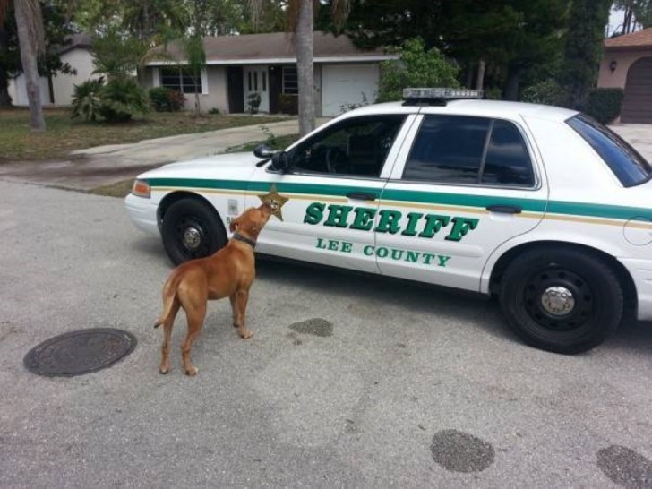 Lee County Sheriff's Office/Facebook