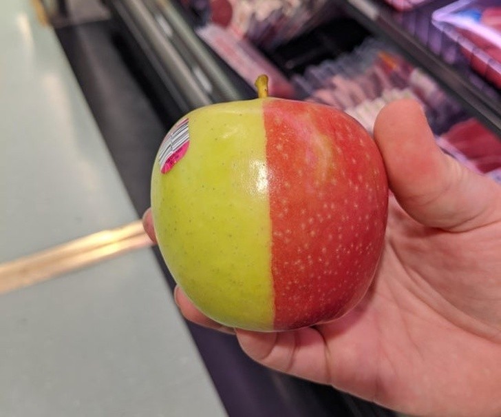 De twee gezichten van dezelfde appel: het ene deel is geel, het andere is rood!