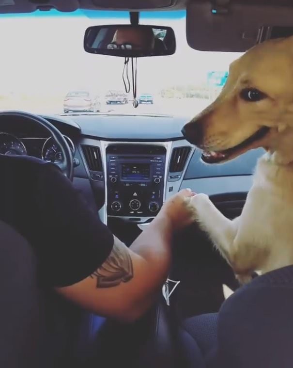 Comme si cela ne suffisait pas, à la fin de la vidéo, elle se tourne vers les sièges arrière pour présenter à Carissa un regard victorieux