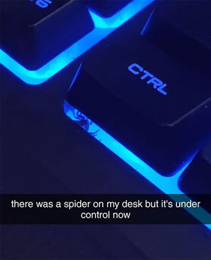 10. Cette petite araignée qui se promenait sur mon ordinateur est sous "contrôle" (CTRL)