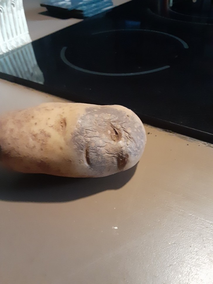 Questa patata al forno sembra un uomo con un'espressione esausta...