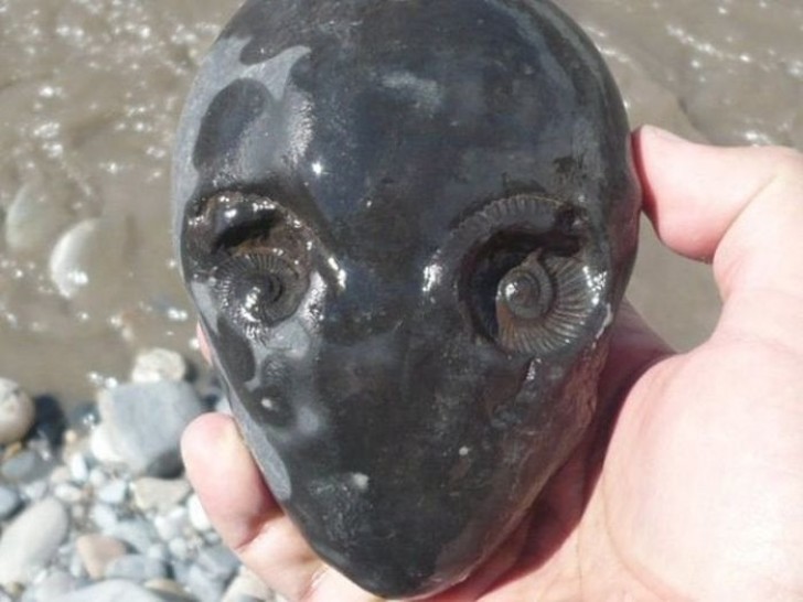 Quand on marche sur la plage et qu'on rencontre une pierre sombre qui ressemble à un extraterrestre...