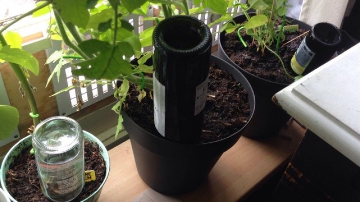 3. Une solution assez simple pour donner de l'eau aux plantes même pendant les périodes d'absence prolongée