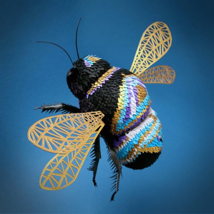 1. Una coloratissima ape dalle tonalità davvero singolari