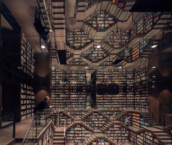Hou je van optische illusies maar ook van lezen? Dan is deze bibliotheek echt iets voor jou!