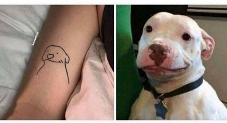 Notate una somiglianza tra questo cane e il tatuaggio?