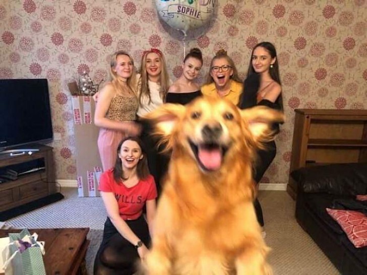 Familieportret met een vrolijke hond.