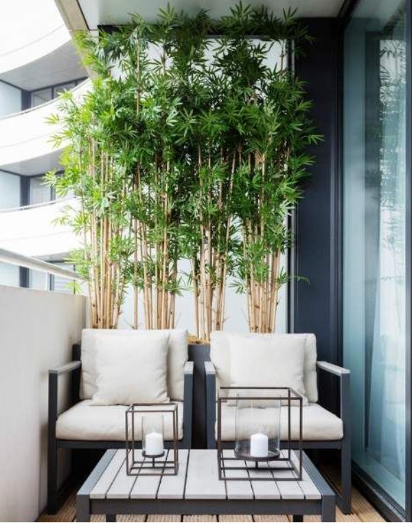 8. Non sottovalutate l'effetto rilassante e piacevole che possono dare delle piante, come questi bellissimi bambù: immaginate che bello sentirli frusciare al vento