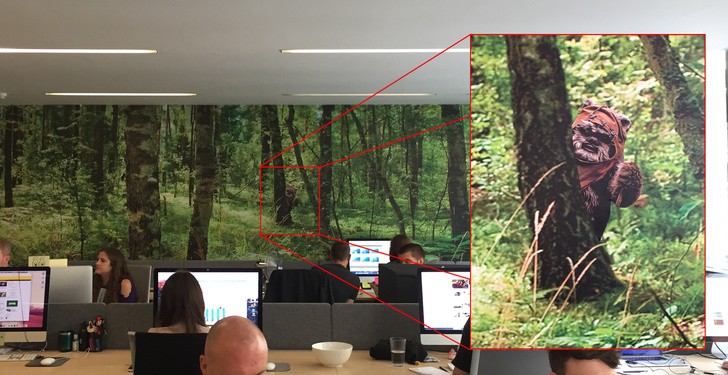 2. "Nous avons un papier peint dans le bureau qui montre une belle forêt luxuriante"... et en prime un détail original !