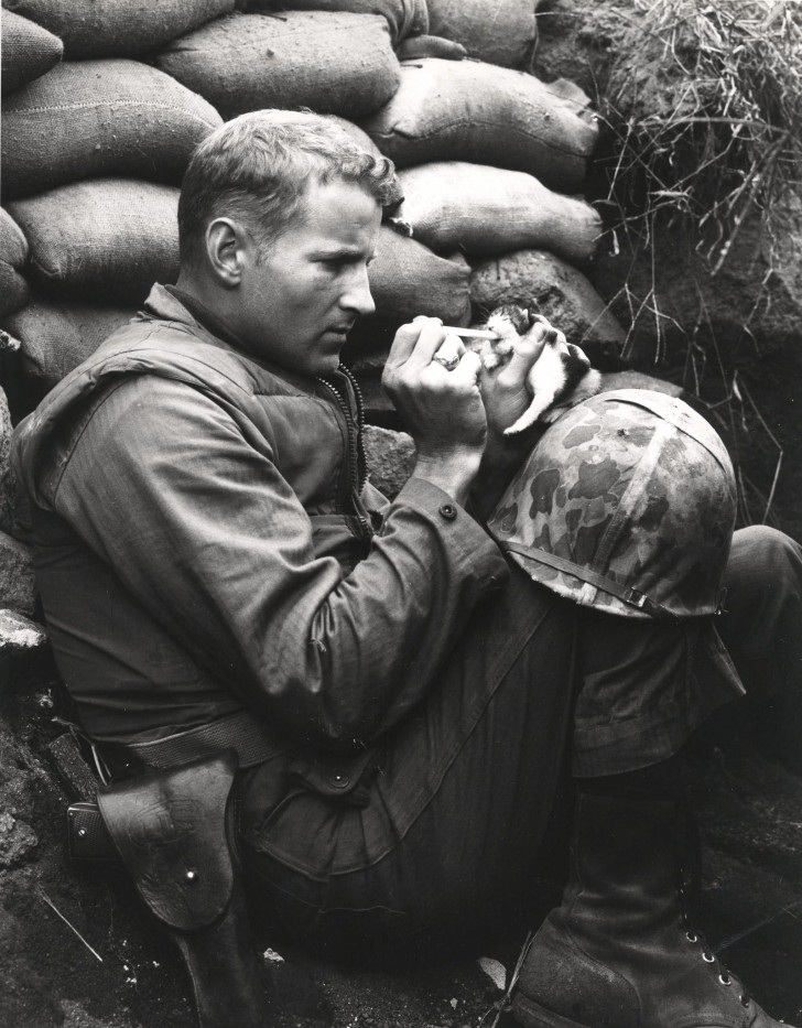 A soldier feeding a 2 month old kitten who lost its mom