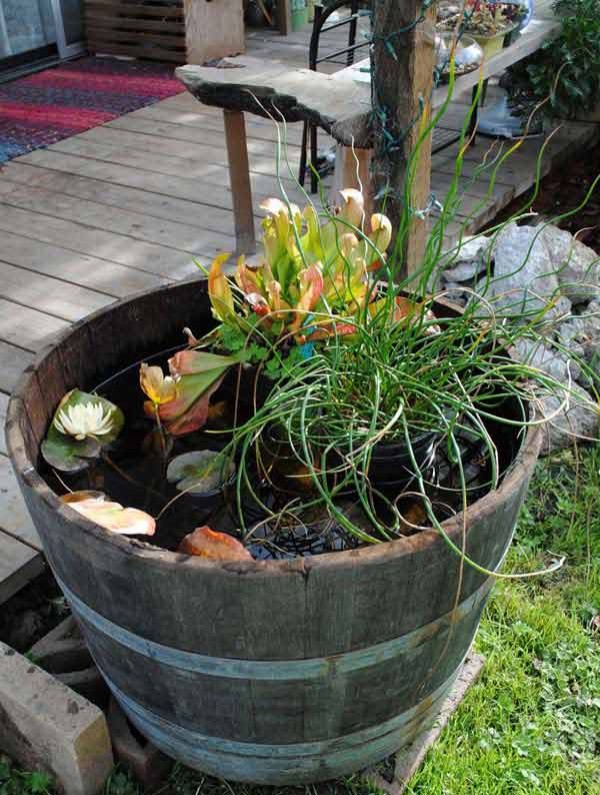In un grande vaso di legno, bastano delle piante acquatiche per creare una piccola magia...:)