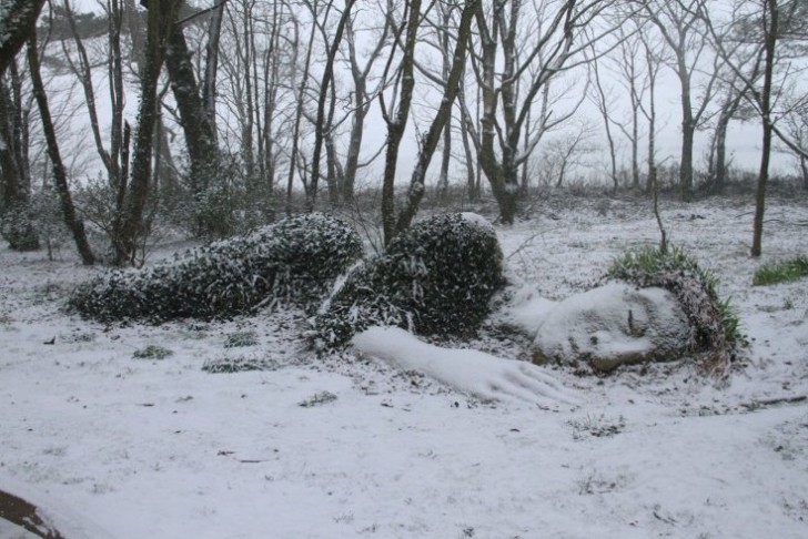 Maar misschien laat het het maximum van zijn buitengewone "nut" tijdens de winter zien: kijk eens naar de sneeuw die het omhult!