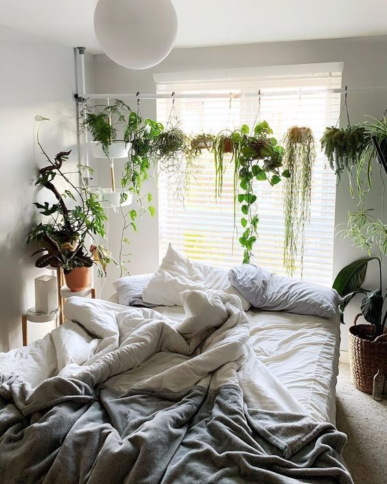 8. Per creare una decorazione con piante ricadenti in qualsiasi stanza