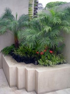 9. In un giardino ultra moderno questa aiuola rialzata in cemento dalle linee pulite è perfetta