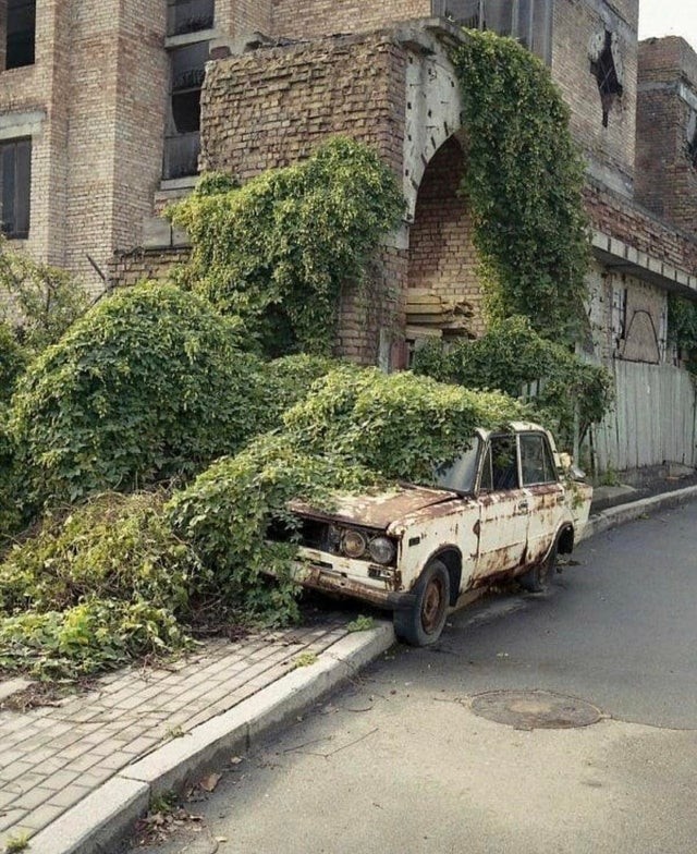 10. Verlassene Gebäude, verlassene Autos und die Natur, die ihre Räume zurückerobert